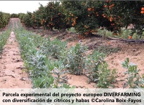 Demanda agrícola de agua
