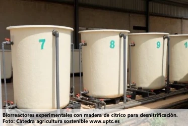 Desnitrificación de salmueras