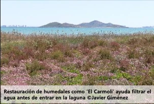 Medidas de rentención de suelo y agua